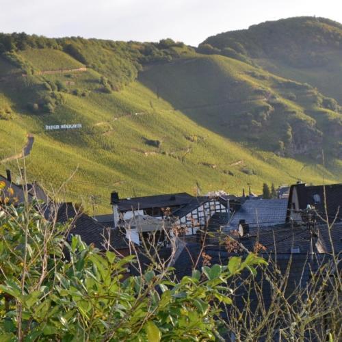Weingut Erbes-henn Guest house *