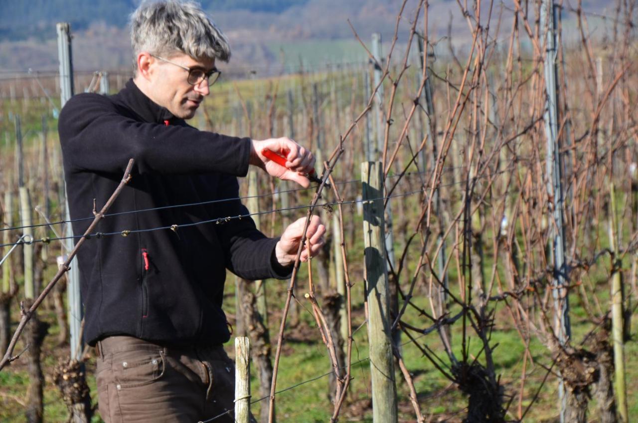 Weingut Erbes-henn Гостевой дом
